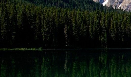 世界三大门窗品牌