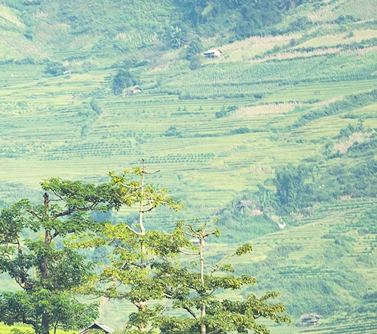 实况足球世界杯盛况绽放，独家揭秘完整实况足球世界杯预选赛视频与最新补丁