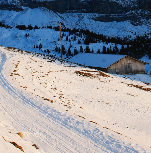 华中科技大学深圳