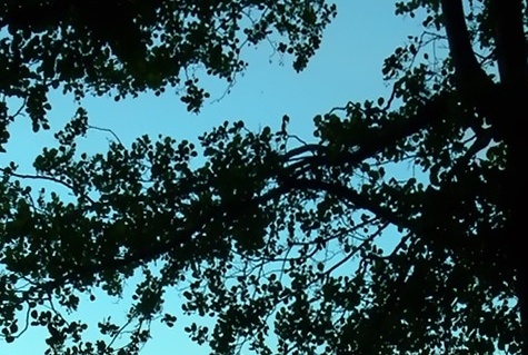 世界上最大的空难：空中悲剧：探寻世界最神秘的747空难事件