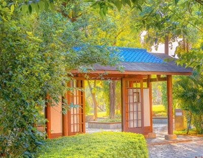 八十日环游世界