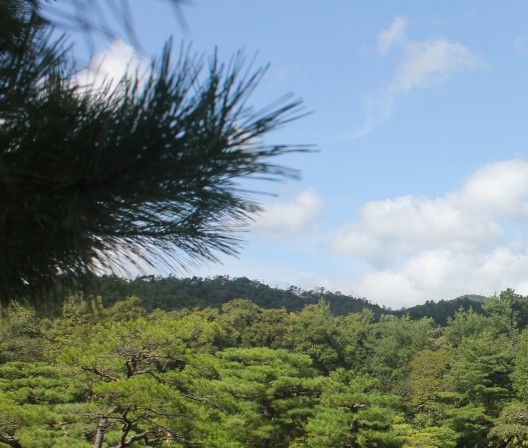 心灵和身体总有一个在路上