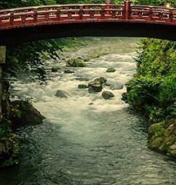 世界树财团