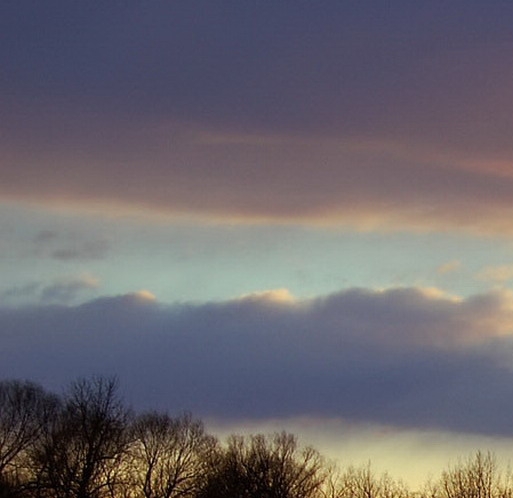 奇怪的吉尼斯世界纪录