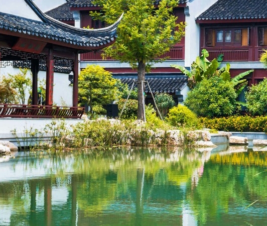 雄狮科技