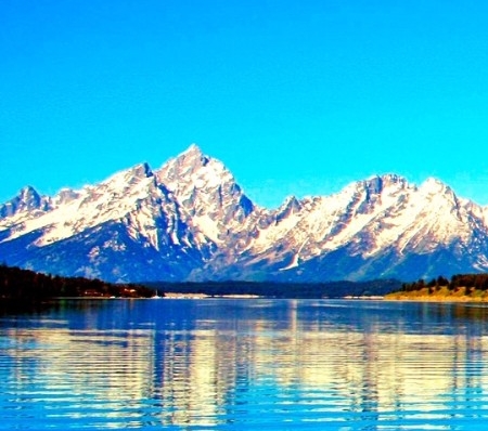 世界羽毛球冠军