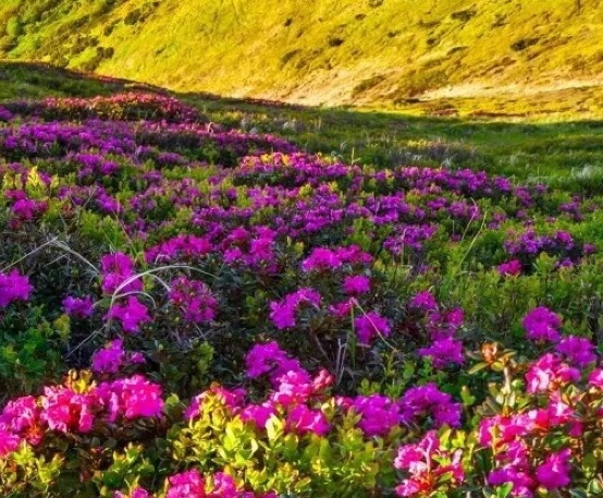 中航环保科技有限公司