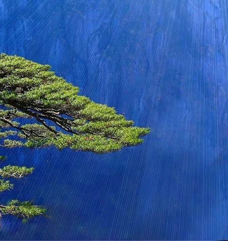 世界最大盐湖