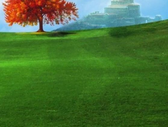 禁止恋爱的世界动漫