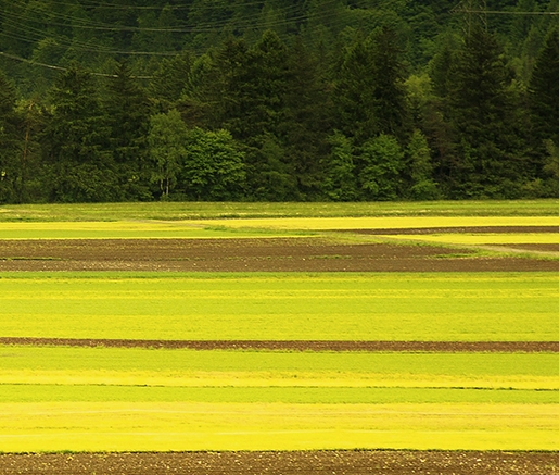粤澳合作中医药科技产业园