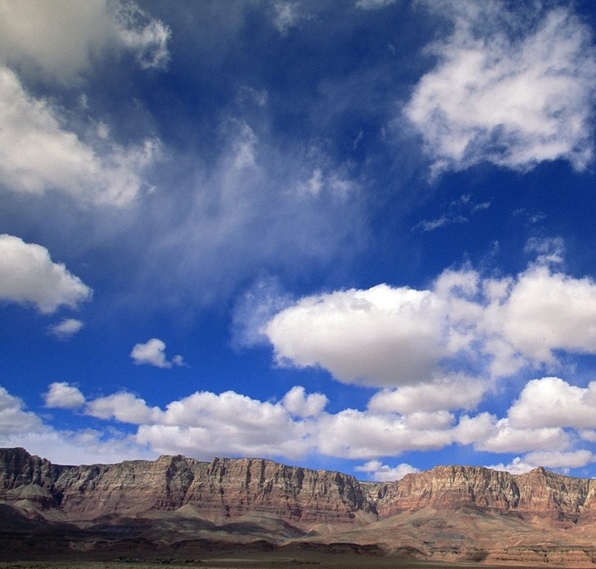 安徽优旦科技有限公司