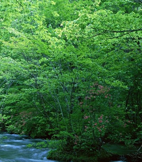 我的世界手机版启动器下载