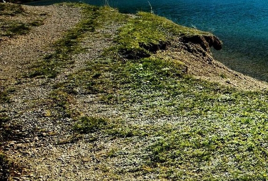 什么是信息技术的核心