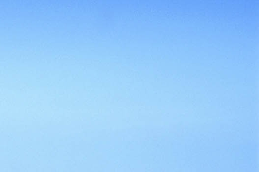 世界杯2006