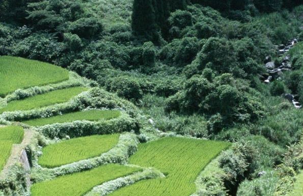 鸿泰科技