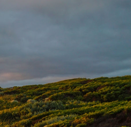 江西太阳能科技职业学院