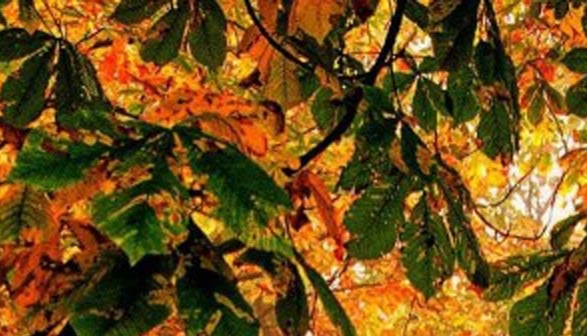 如何在职场中生存