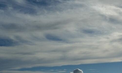 一灵活死胖子 四大怪