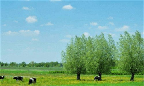 二化城喻品表达了什么