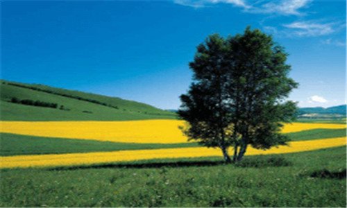 二全球停电日是哪一天