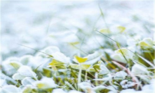 三儿歌小雪花