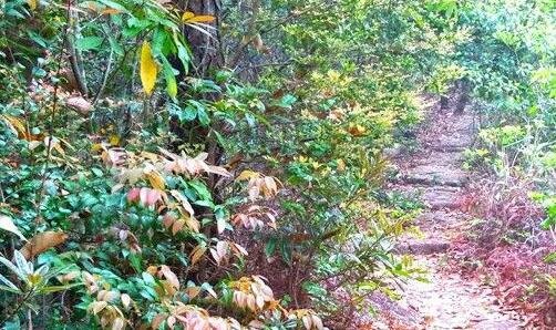 二上方山云水洞门票
