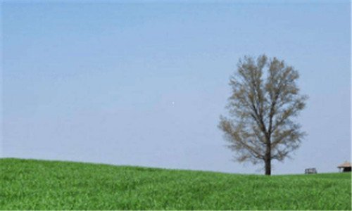 二水榭华盈我谢你什么意思