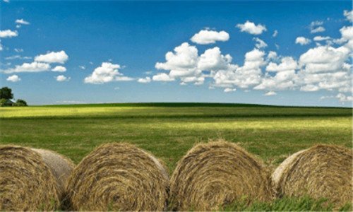 二山西硅石矿分布