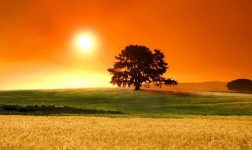 三新的曙光lol超清版