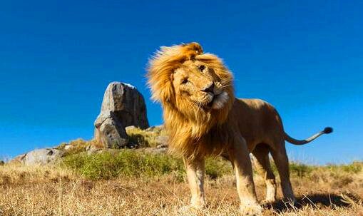 二篆体字转换器