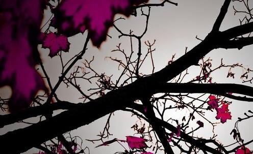 一珠海御温泉官网