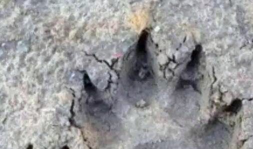 二图海和吴六一是一个人吗