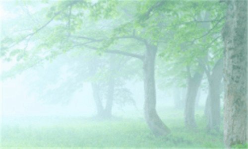 二大草是什么药