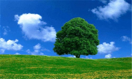 三山东云蒙山国家森林公园