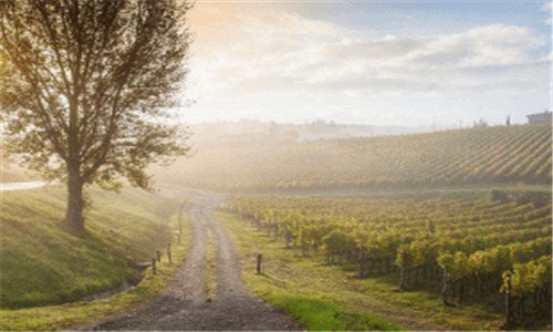 二寒号鸟的叫声