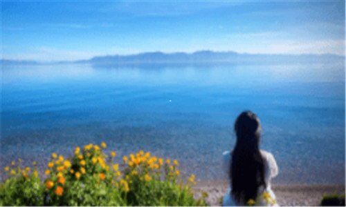 二她的背影这首歌含义