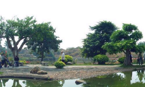 三淄川经济开发区农村商业银行