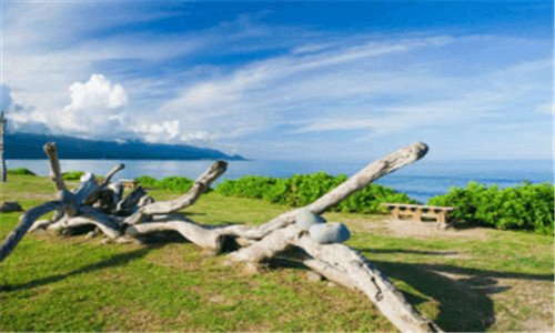 三薰衣草图片唯美小清新