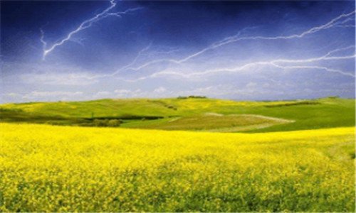 三莎拉波娃巅峰颜值