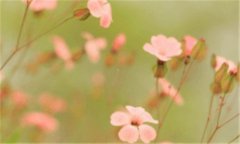 扎肝-溧阳十大名菜
