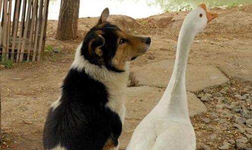 二全国室内设计大学排名