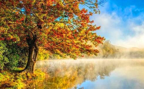 一gtx560ti相当于现在什么显卡