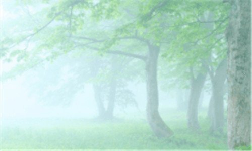 二薛西斯的不死军