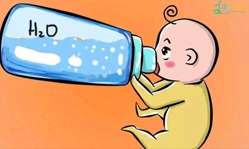 一海狗鞭图片和价格图片