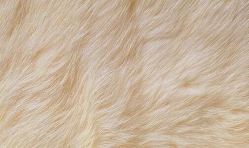 三宋max混动版多少钱