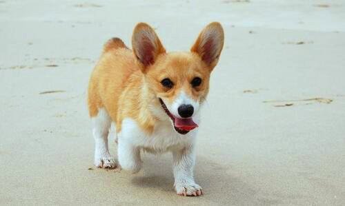 一魔兽世界服务器不兼容