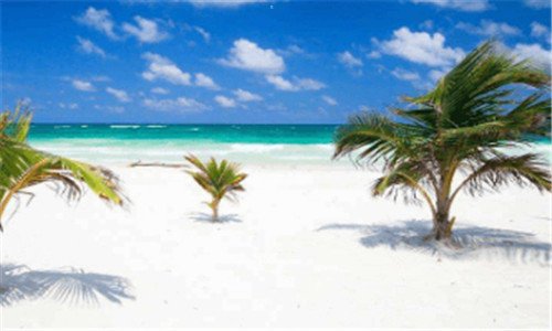 三非行导演算是废了