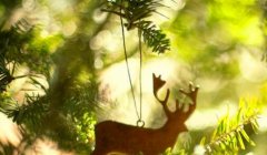 宝宝喝什么奶粉好-适合中国宝宝奶粉排名