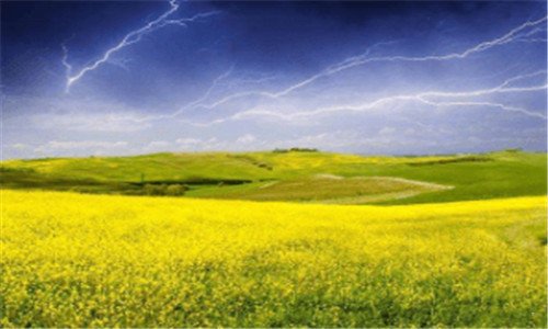 一炼狱蝰蛇拆解