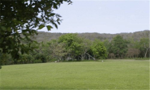 二益智汇众培训6个月是真的吗